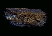 藏品(肢骨碎塊)的圖片